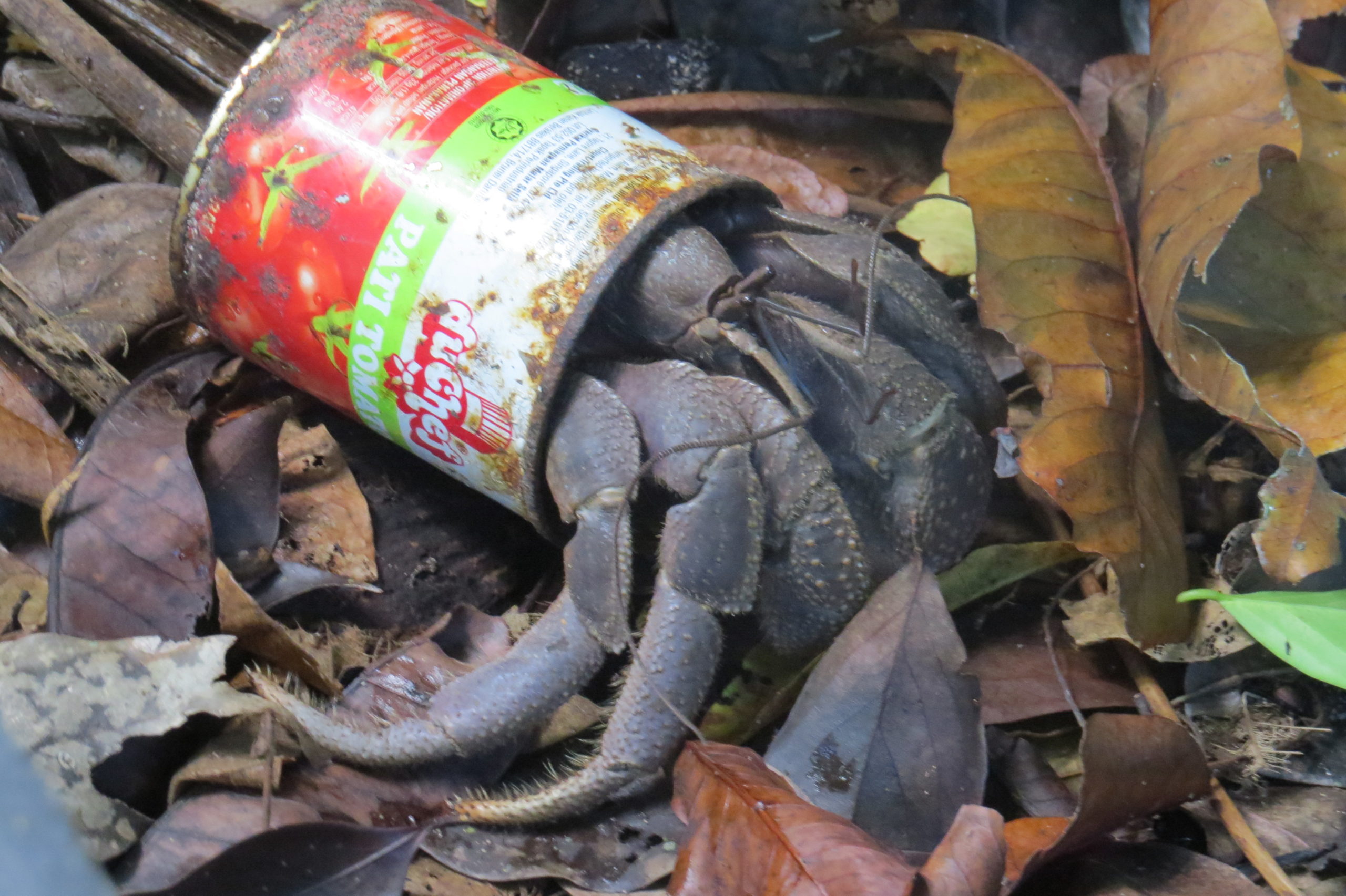 Data Analysis: The Widening Gap Between Allocation and Execution