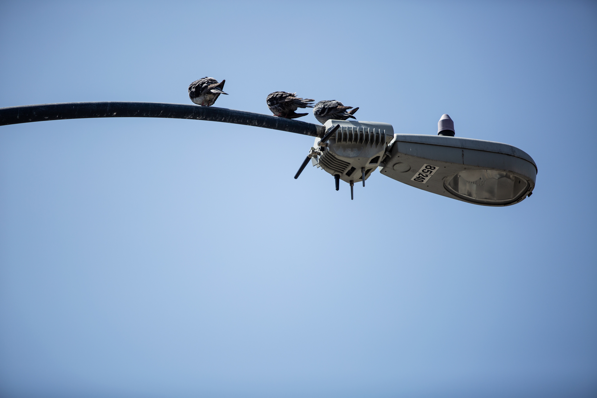 Masdar City: When Zero-Carbon Dreams Meet Desert Dust