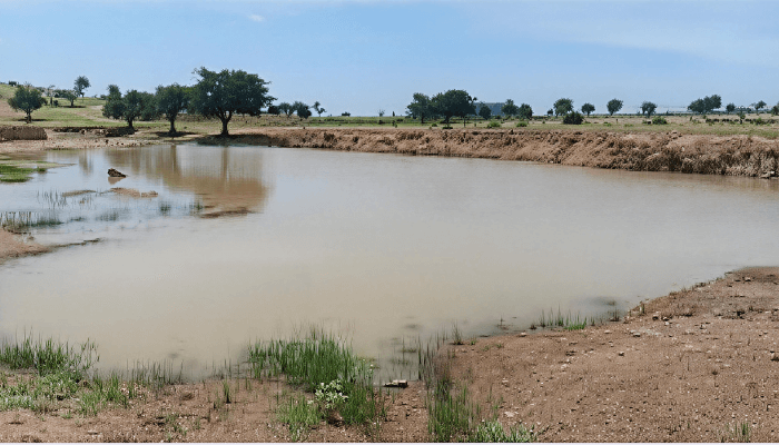 The Procurement Cartel: Rigging Bids Through Rotation