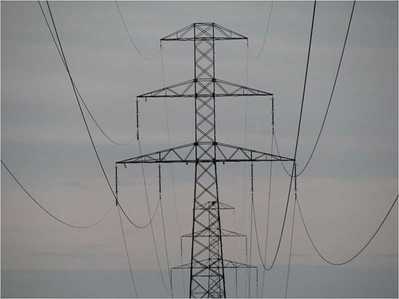 The Scientific Verdict: Negligible Impact