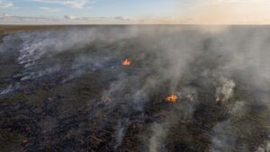 Burning inside the farm on the side of the road Barreiras Bahia Brazil June 2023