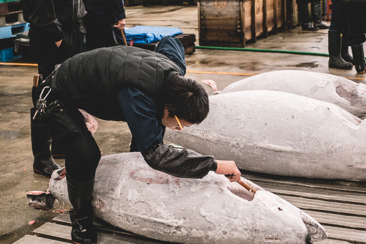 Construction Budget Inflation and General Contractor Bids