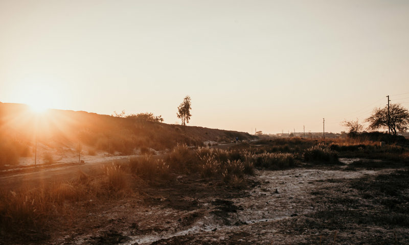 Challenging the 'Unmanageable' Class Ruling: Legal Strategies in the 2024-2025 Appeal